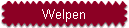 Welpen